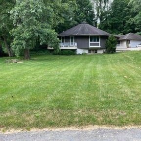 yard maintenance by Jus Biznizz Landscaping LLC reviewed on November 21, 2025