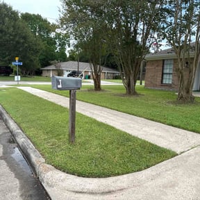 yard care by Green Earth Landscaping LLC reviewed on November 19, 2025