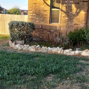 Bush Trimming by Text 2 Cut Lawn Care LLC reviewed on August 20, 2025
