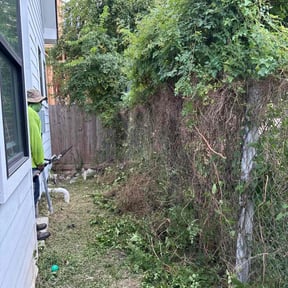 Bush Trimming by JC Landscaping reviewed on October 24, 2025