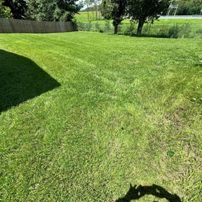 landscape maintenance by Marcos handyman reviewed on November 22, 2025