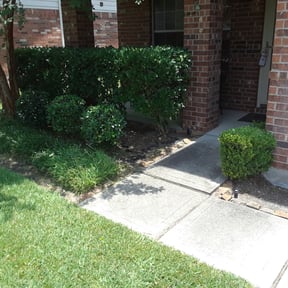 Bush Trimming by Zebra Cuts Lawn & Landscaping LLC reviewed on August 17, 2025