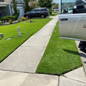 Bush Trimming by Blue Line Property Solutions LLC reviewed on August 18, 2025