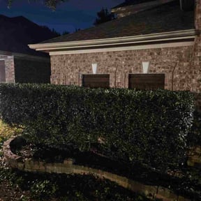 Bush Trimming by Aaron's Landscaping &amp; Tree Service's reviewed on January 21, 2026