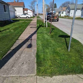 yard maintenance by Norman Boys Lawn Care reviewed on August 15, 2025