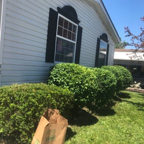 Bush Trimming by Anton Lawn Care reviewed on August 19, 2025