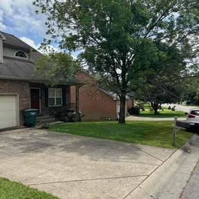 landscape maintenance by Lion's Landscaping reviewed on August 19, 2025