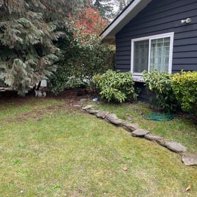 Bush Trimming by Mann Services reviewed on August 18, 2025