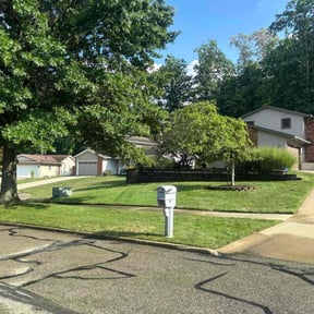 yard care by B&SS reviewed on August 17, 2025
