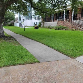 yard care by Peninsula services reviewed on November 22, 2025