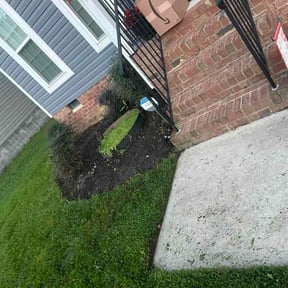 Flower Bed Weeding by Monte Vista landscaping LLC reviewed on August 20, 2026