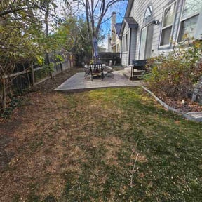 Leaf Removal by Carlito&#039;s Lown Mowing Service reviewed on November 7, 2025