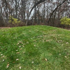 Leaf Removal by Greg's gardens reviewed on November 21, 2025