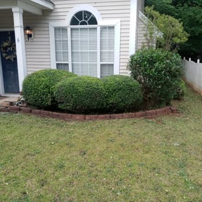 Bush Trimming by Starlings Lawn Care LLC reviewed on August 19, 2025