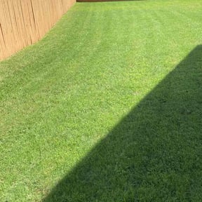 yard maintenance by Fredy'sLawnmovingservice reviewed on November 20, 2025