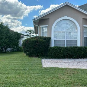 Bush Trimming by We Do It All Lawn Services reviewed on November 29, 2025