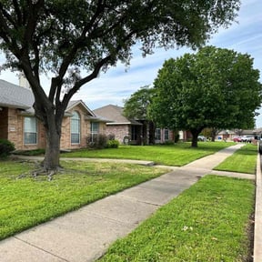 turf maintenance by Lindsey's Lawn Service reviewed on May 6, 2024