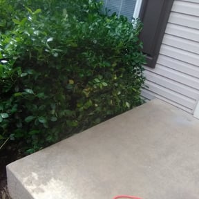 Bush Trimming by P Outdoor reviewed on August 21, 2025