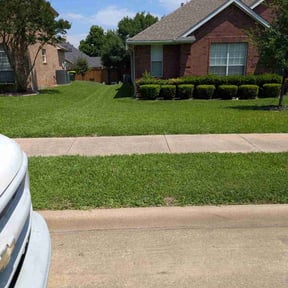 yard maintenance by Stellar Lawn Care LLC reviewed on October 6, 2021