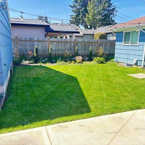 yard work by Nathan's lawn &amp; maintenance reviewed on November 24, 2025