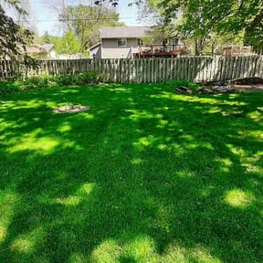 yard work by LawnGoals reviewed on November 20, 2025