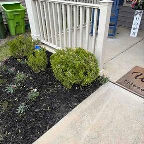 Bush Trimming by Turf Ticklers LLC reviewed on May 1, 2026