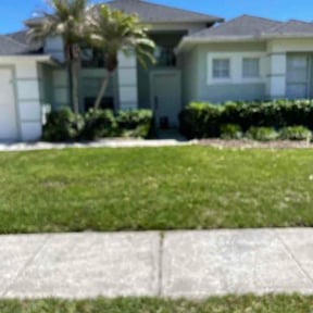 Bush Trimming by Pristine Properties LHS reviewed on April 14, 2026