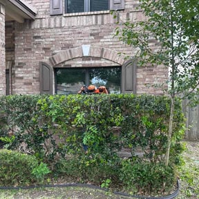 Bush Trimming by Grass Grabbers reviewed on August 18, 2025