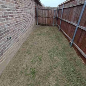 Leaf Removal by Jose Vigo reviewed on July 20, 2026
