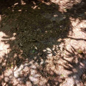 Leaf Removal by Alcazar Landscaping reviewed on September 30, 2025