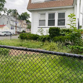 Bush Trimming by Green Line  Landscaping reviewed on July 2, 2026