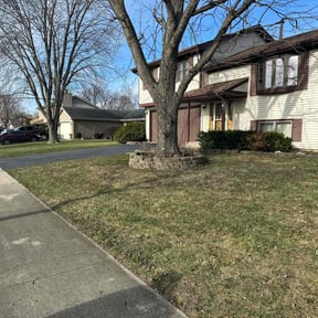 Leaf Removal by Budget Lawn Care reviewed on September 10, 2025