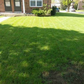 yard work by MM Lawn Cutting reviewed on October 18, 2025