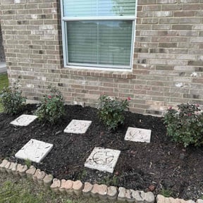 Flower Planting by  reviewed on July 20, 2025