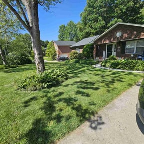 yard work by Top Notch Washing and Lawn Care reviewed on August 15, 2025