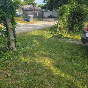 Bush Trimming by Hanson Lawn Care reviewed on July 24, 2026