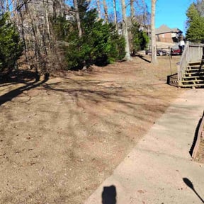 Leaf Removal by DONS Lawn Service reviewed on January 19, 2026