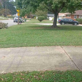 Leaf Removal by Solid Green Lawn Care reviewed on September 26, 2025