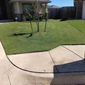 yard care by Pro Kutz reviewed on August 13, 2025