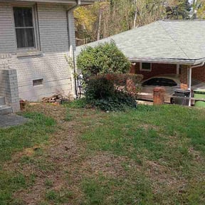 Bush Trimming by DLS Lawn Service reviewed on March 24, 2026
