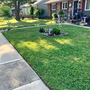 yard care by H &amp; H Lawncare reviewed on June 15, 2020
