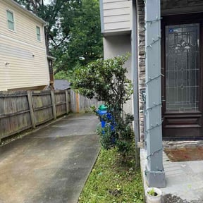Bush Trimming by Dreb Landscaping reviewed on June 19, 2026