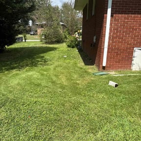 Bush Trimming by Aiden’s Lawn Care reviewed on August 5, 2025