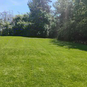 landscape maintenance by Glovers Landscaping reviewed on December 11, 2025