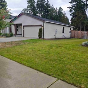 Bush Trimming by Chase property management and improvements llc reviewed on October 20, 2025