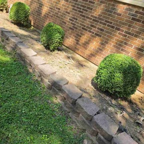 Flower Bed Weeding by Bear foot lawns reviewed on September 13, 2026