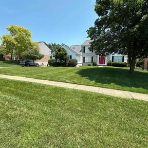 yard maintenance by Matmer Property Services reviewed on October 21, 2023