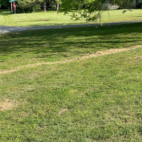 Leaf Removal by Just Lawns LLC reviewed on September 16, 2025