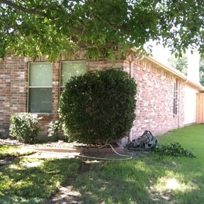 Bush Trimming by Unique Landscaping reviewed on August 14, 2025