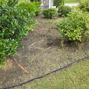 grass cutting by Sky Lawns reviewed on May 27, 2024